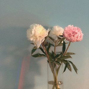 Meet your Posher, Sally